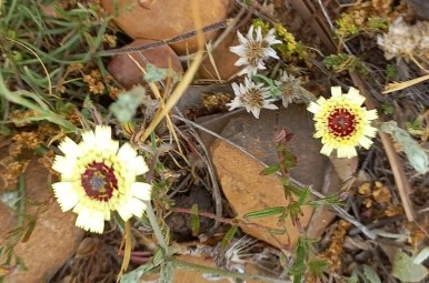 SE-7d5bb245-70c5-402b-b33d-68e894d4b238.jpg?type=w386