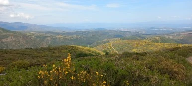 20230529_115102.jpg?type=w386