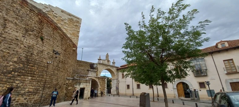 20230525_182034.jpg?type=w773