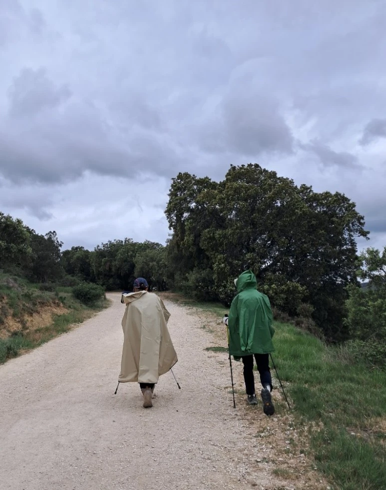 SE-7ade6bd1-2d92-4a50-8fc5-09a3394e777c.jpg?type=w773