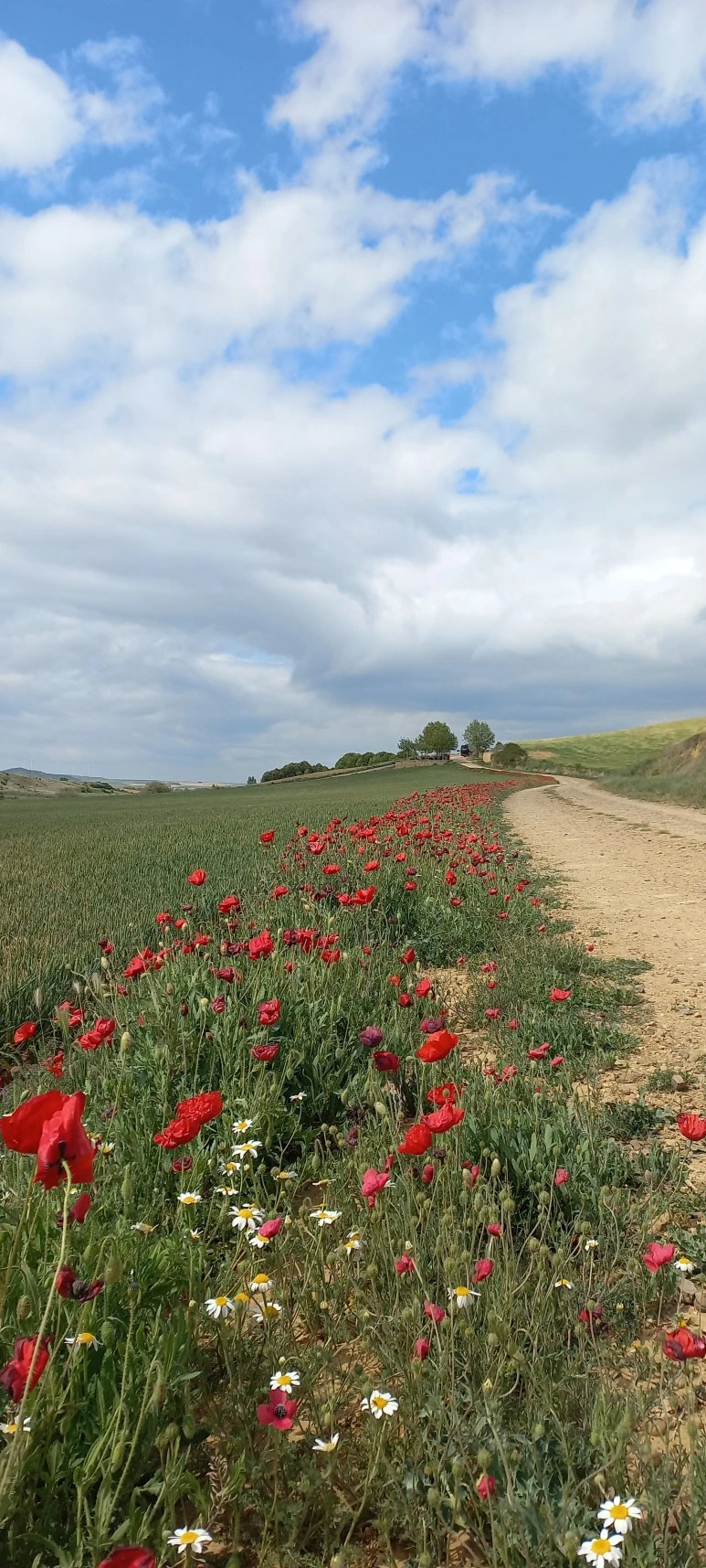 20230519_121240.jpg?type=w773