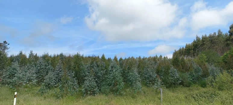 20230605_125720.jpg?type=w773