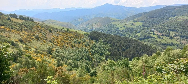 20230601_122928.jpg?type=w773