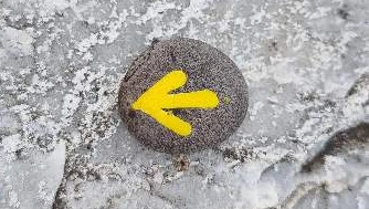 SE-eff4f8fe-00ed-450d-9e72-da225c825ad1.jpg?type=w773