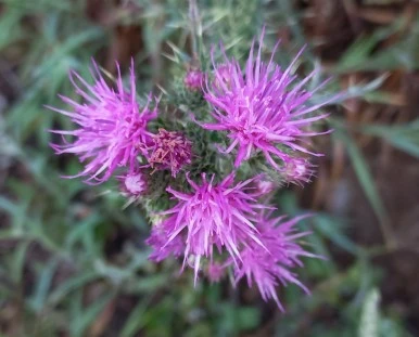 SE-b9659c6d-0ab7-4c8a-85bb-7e742647ec96.jpg?type=w386