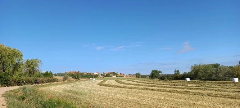 20230524_095948.jpg?type=w773