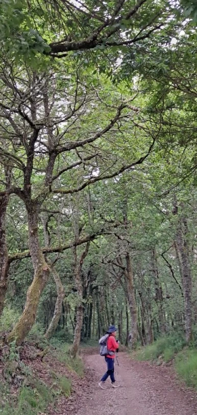 SE-1786b1db-358d-4c3d-8a55-ae9e1906f664.jpg?type=w386