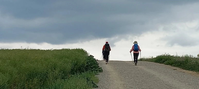 20230515_125927.jpg?type=w773