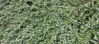 KakaoTalk_20230624_234025250_09.jpg?type=w386