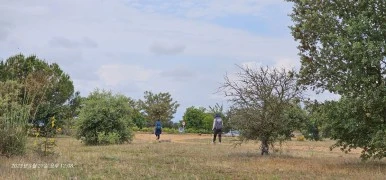 1685195539707.jpg?type=w386