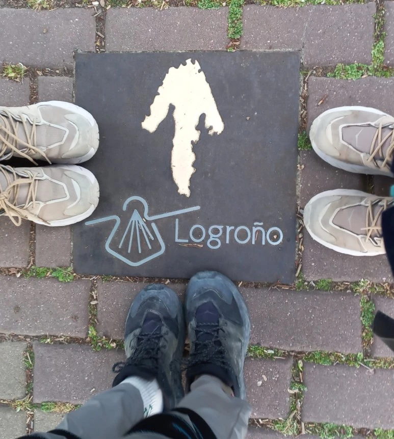 SE-727cb6b9-8428-49eb-9e23-66e0090dc49f.jpg?type=w773