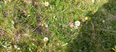 20230506_102720.jpg?type=w386