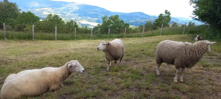 20230602_115948.jpg?type=w773