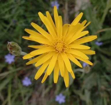 SE-151823b3-5fd6-4711-87bc-82a3ce5a7651.jpg?type=w386