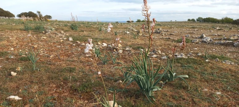 20230517_081614.jpg?type=w773