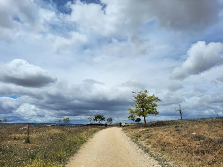 1683911151090.jpg?type=w773