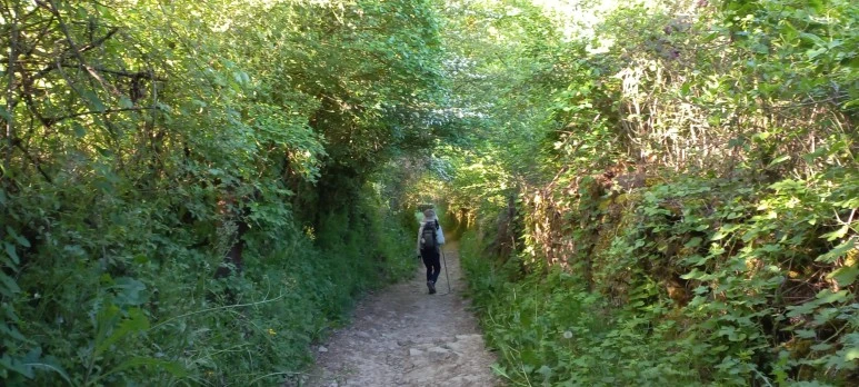 SE-2c275368-f71a-400c-968b-1f17da509f62.jpg?type=w773