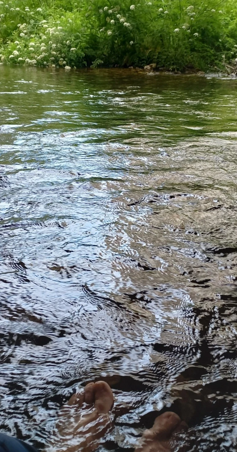 SE-7968b7a5-0584-4f7c-bfe5-5c1baaa3ff5e.jpg?type=w773