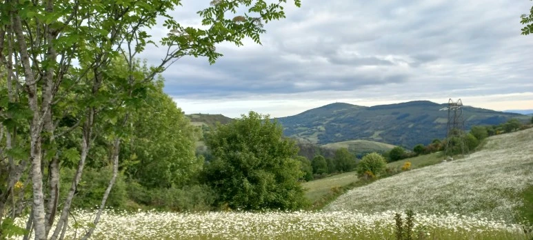 20230602_084308.jpg?type=w773