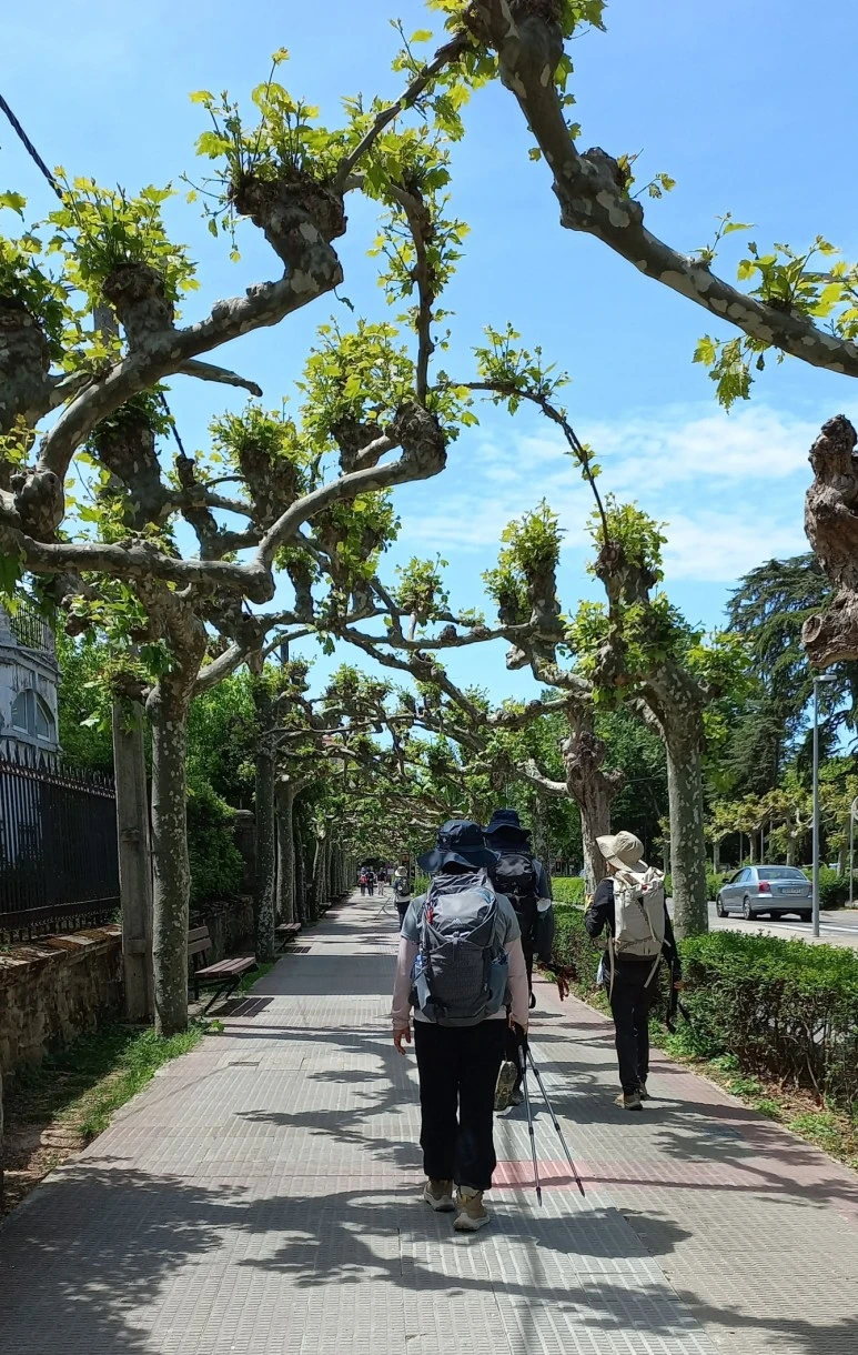 SE-44100ea9-9a90-4790-8666-0b46fa0b35a4.jpg?type=w773