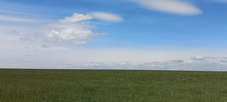 20230518_153855.jpg?type=w773