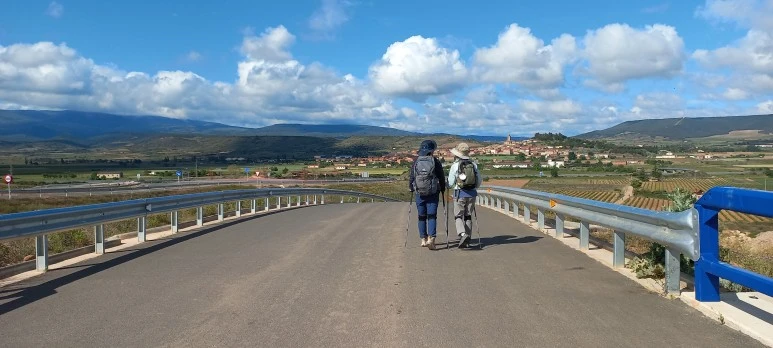 20230513_103452.jpg?type=w773