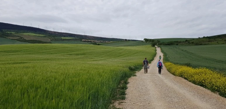 SE-f92498ad-6ffc-40a7-af87-014c35e34ea4.jpg?type=w773