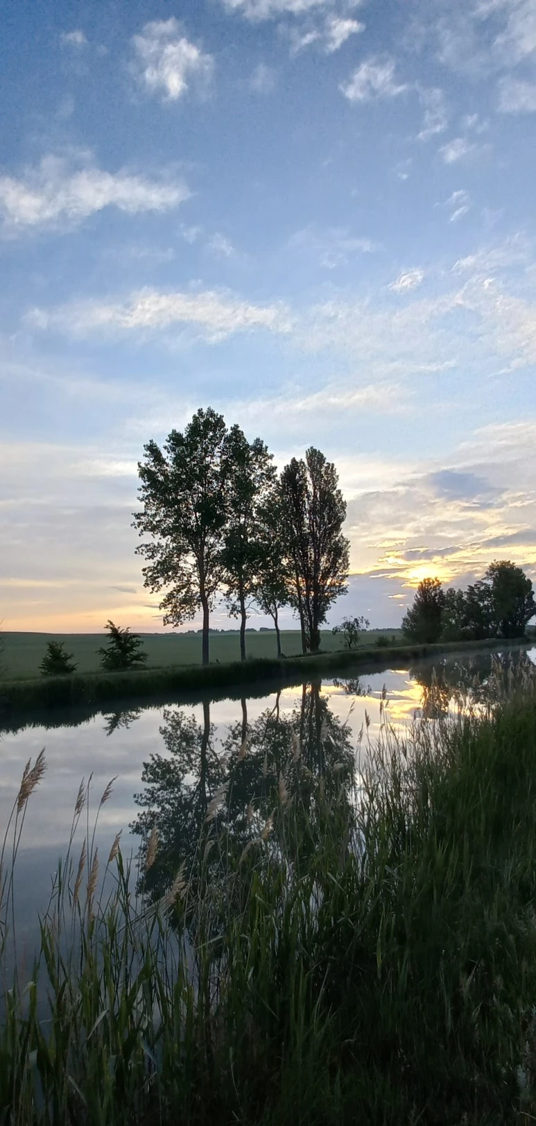 20230520_072507.jpg?type=w773