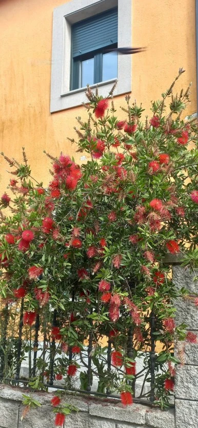 SE-9a3acdca-0653-4986-be0a-e7cf34c3706e.jpg?type=w386