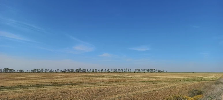 20230521_103649.jpg?type=w773