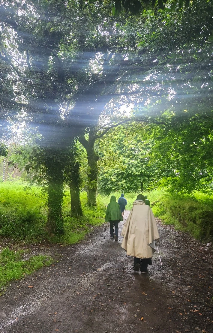 SE-5d104ddd-d5f6-40bb-868c-2abbe678a6ab.jpg?type=w773