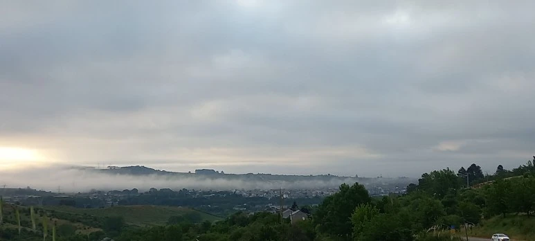 20230531_073904.jpg?type=w773