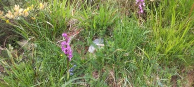 20230506_095619.jpg?type=w386