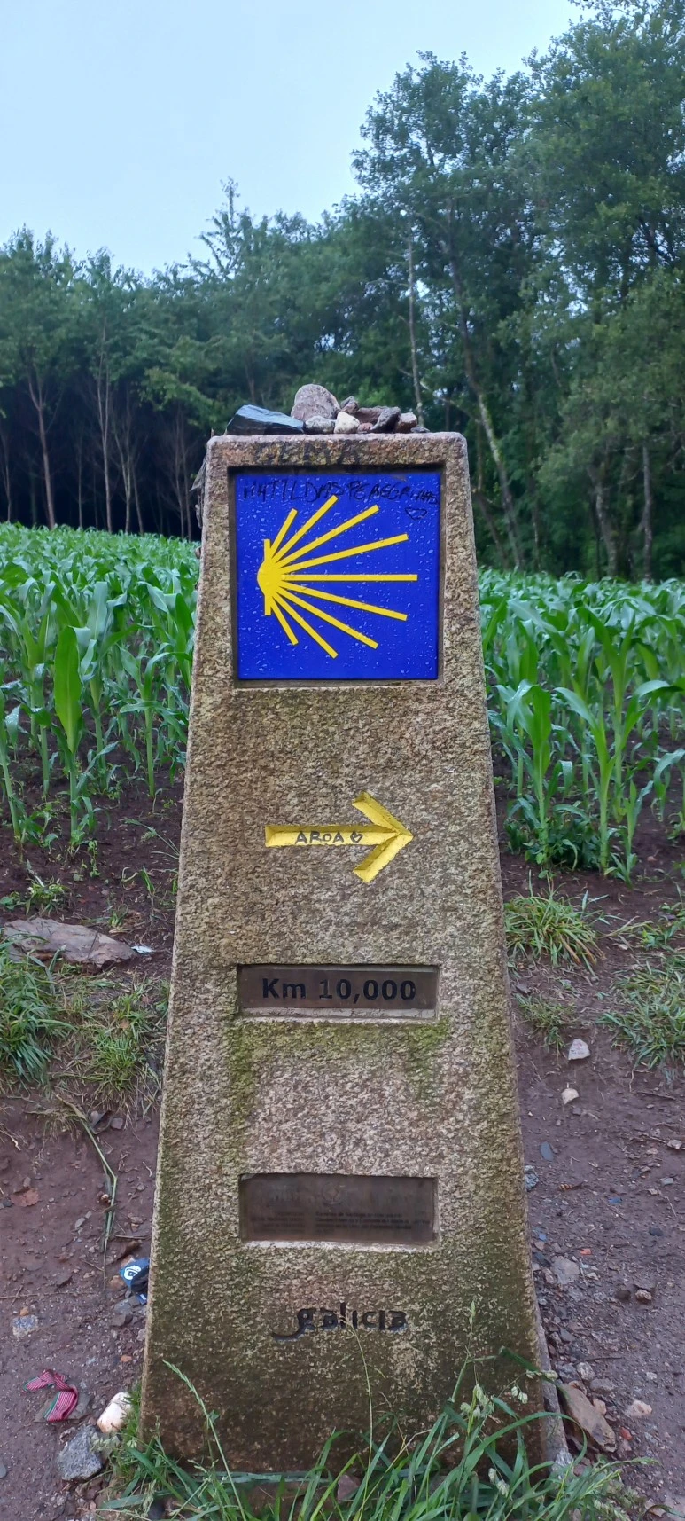 20230608_072412.jpg?type=w773