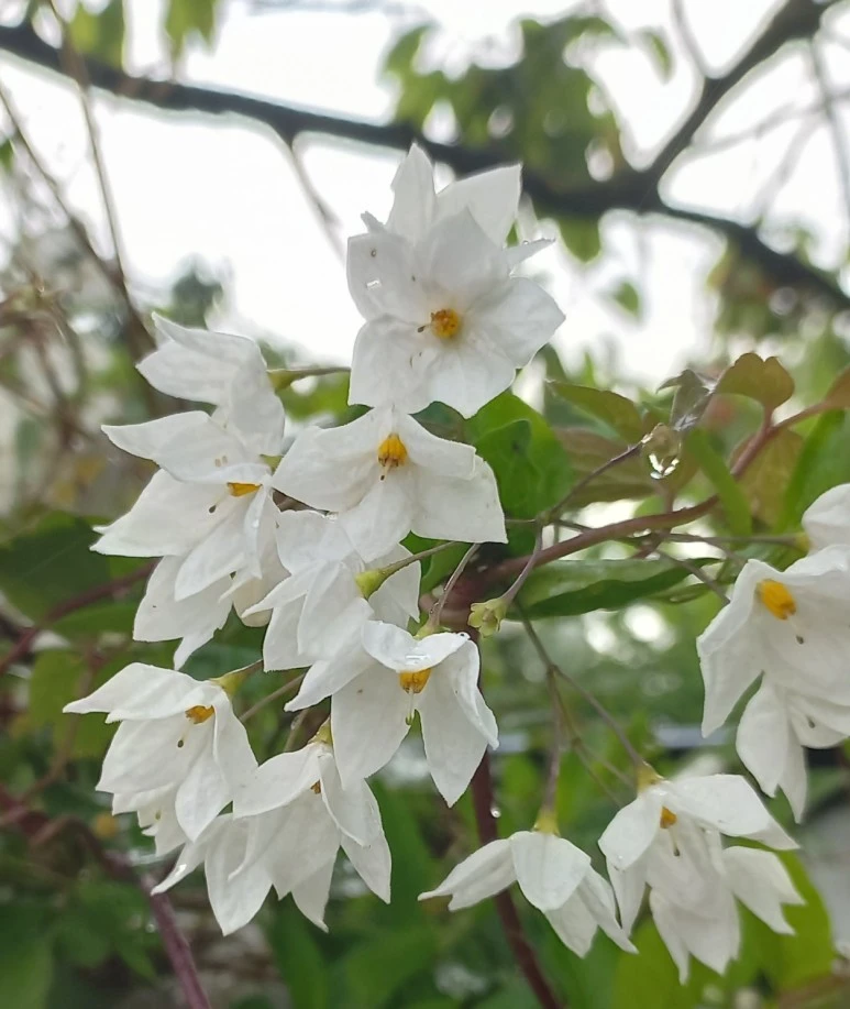 SE-85a9c1ec-22b6-43a3-8351-b73caa2846b9.jpg?type=w773