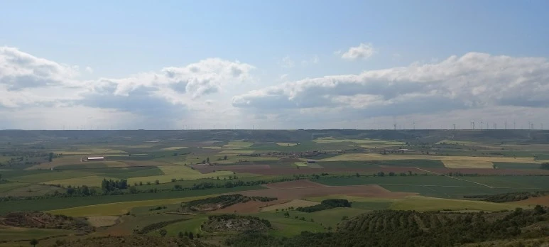 SE-31b38d22-ad86-48ec-95a0-bbe689fb3256.jpg?type=w773