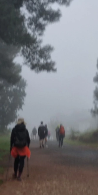 SE-78490cf7-7e07-448d-aa3d-a5b96de636ca.jpg?type=w773