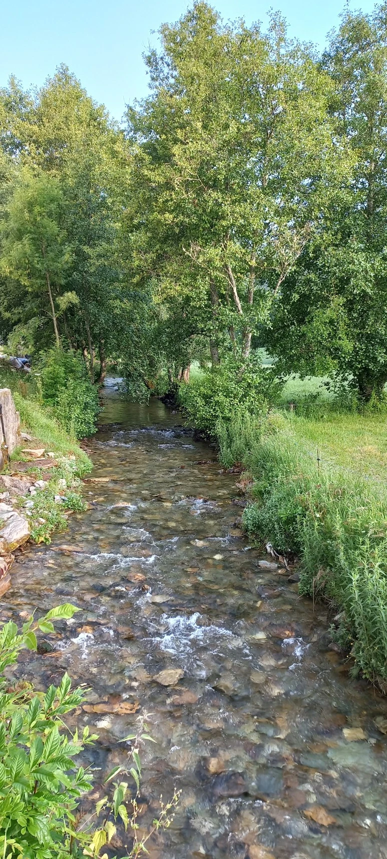 20230601_084500.jpg?type=w773