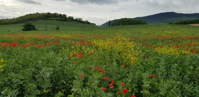 1683650304632.jpg?type=w773