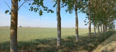 20230521_094911.jpg?type=w386