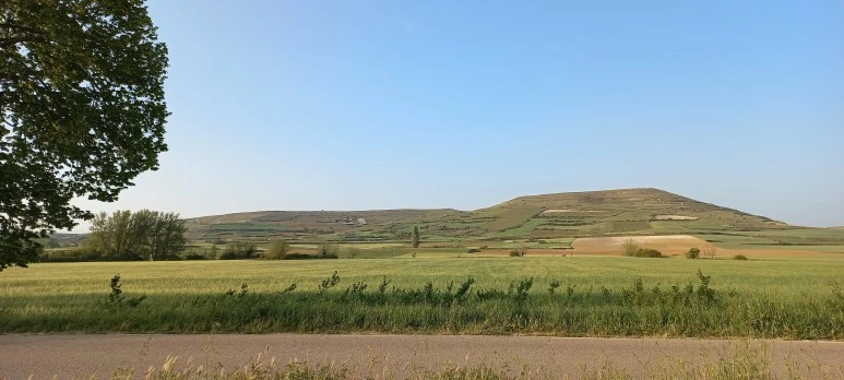 20230519_082857.jpg?type=w773