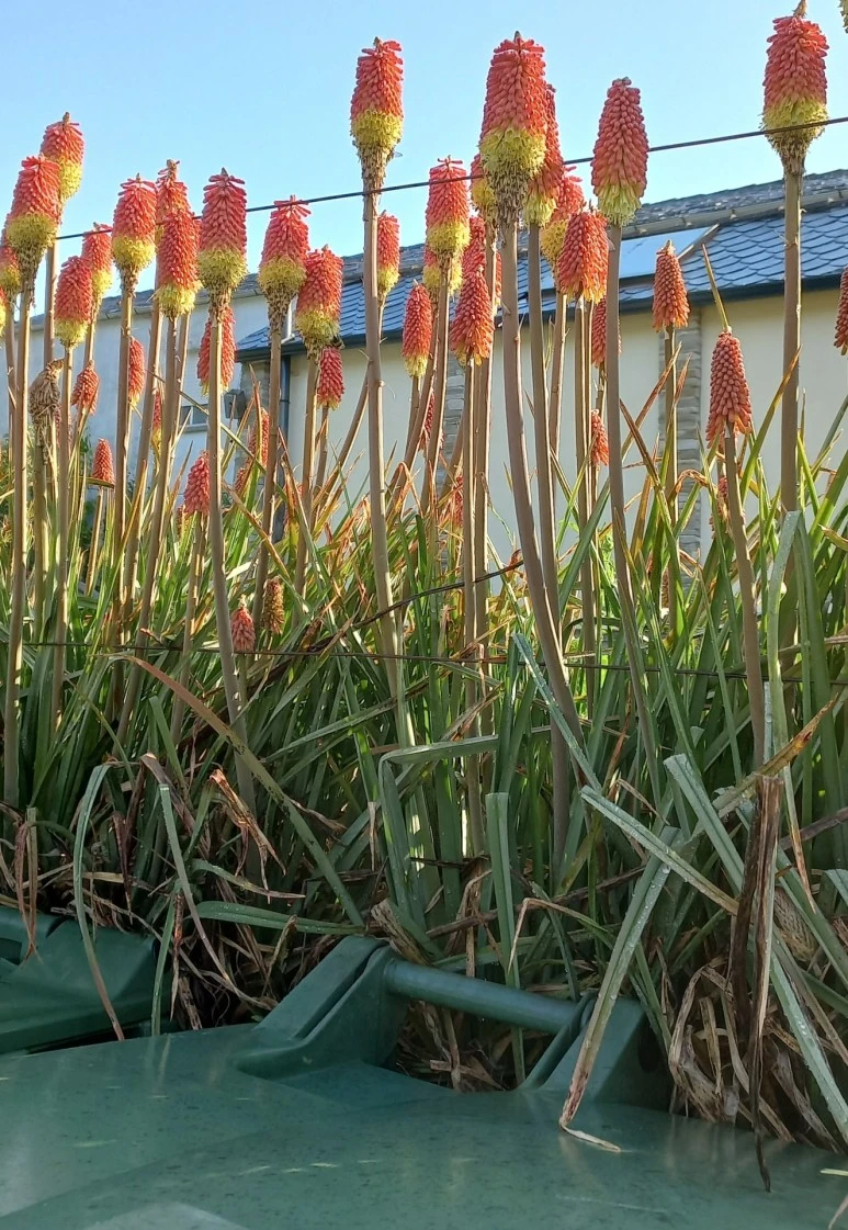 SE-e658655f-49fc-44ef-9ec8-0a91dfb4278b.jpg?type=w773