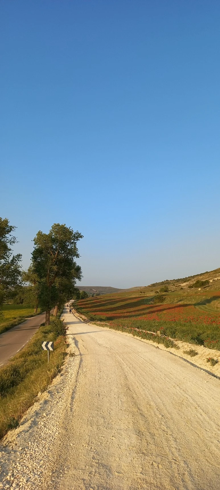 20230519_075514.jpg?type=w773