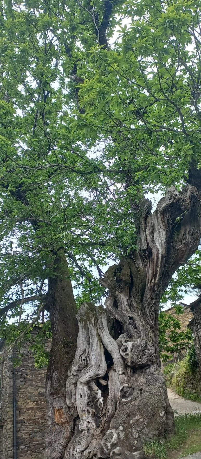 SE-82caf611-d791-4311-9ab2-d332979108e3.jpg?type=w773