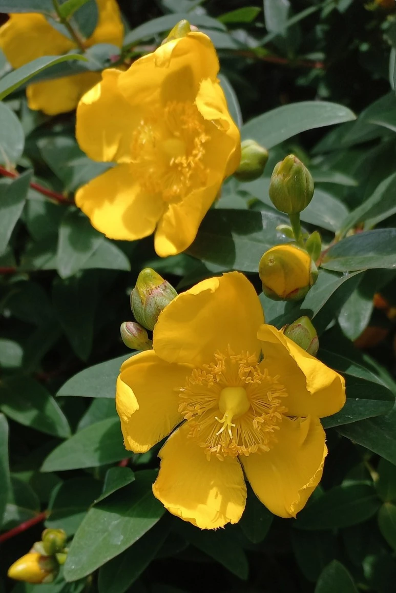 SE-860c83ae-4f94-4d62-a1bb-37cca7af4b35.jpg?type=w773