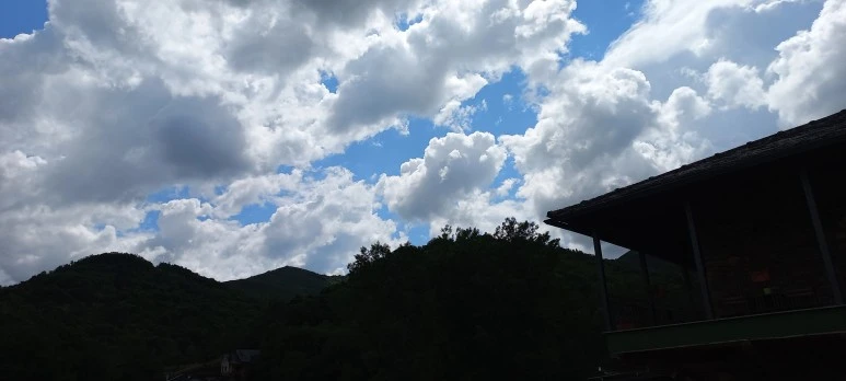 20230531_161315.jpg?type=w773