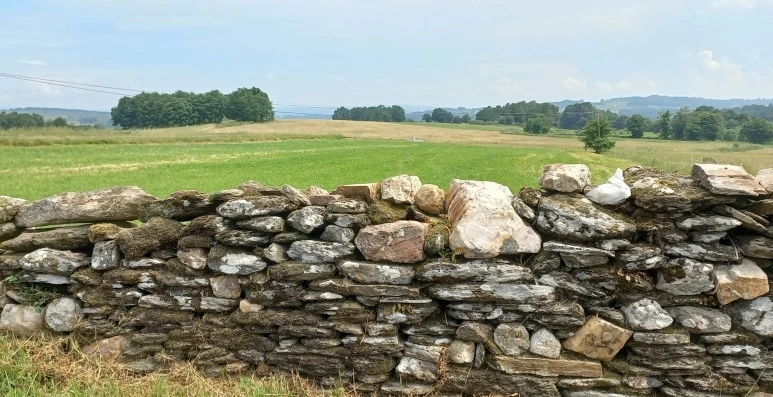 SE-cd284a2e-b5b8-4eb8-87ab-31b1f78a2088.jpg?type=w773