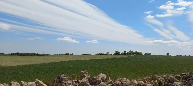 SE-bc9951f7-448a-44eb-8b30-3b259e57c25a.jpg?type=w773