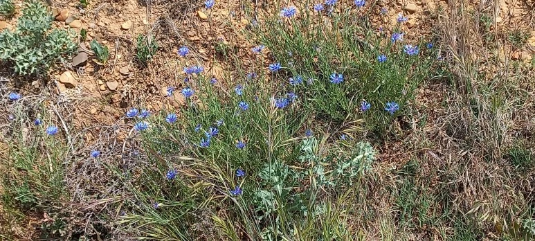 20230519_122551.jpg?type=w773