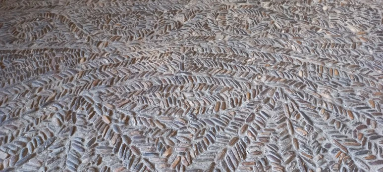 20230525_104557.jpg?type=w773